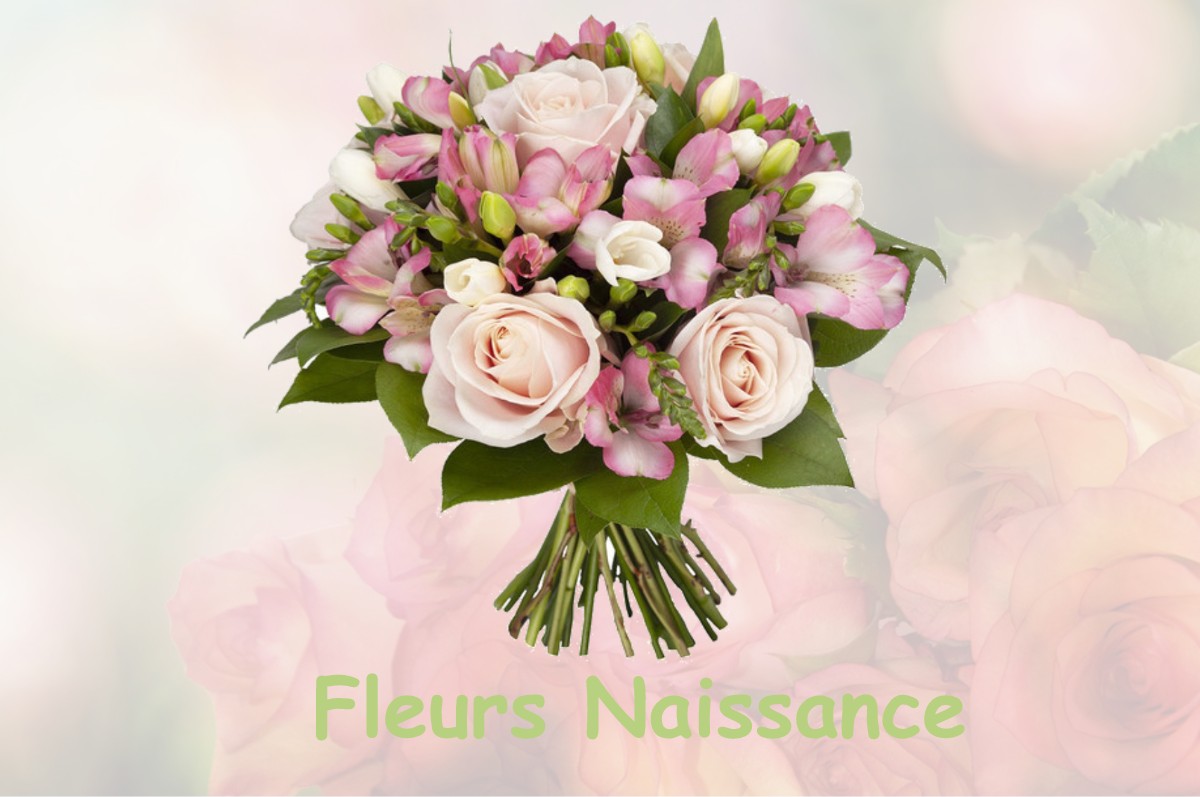 fleurs naissance PLENISETTE