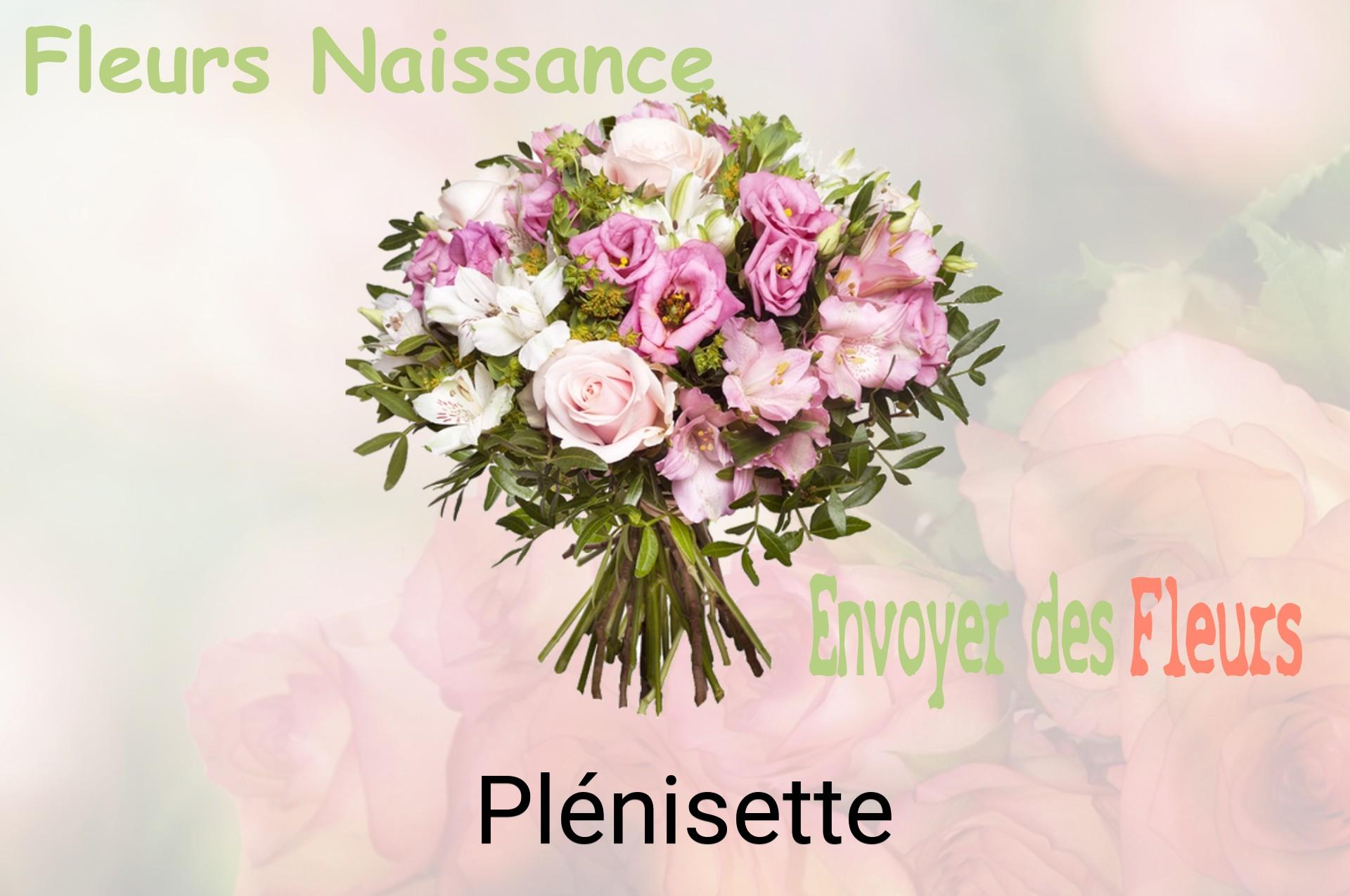 Bouquet de fleurs de naissance livré à Plénisette