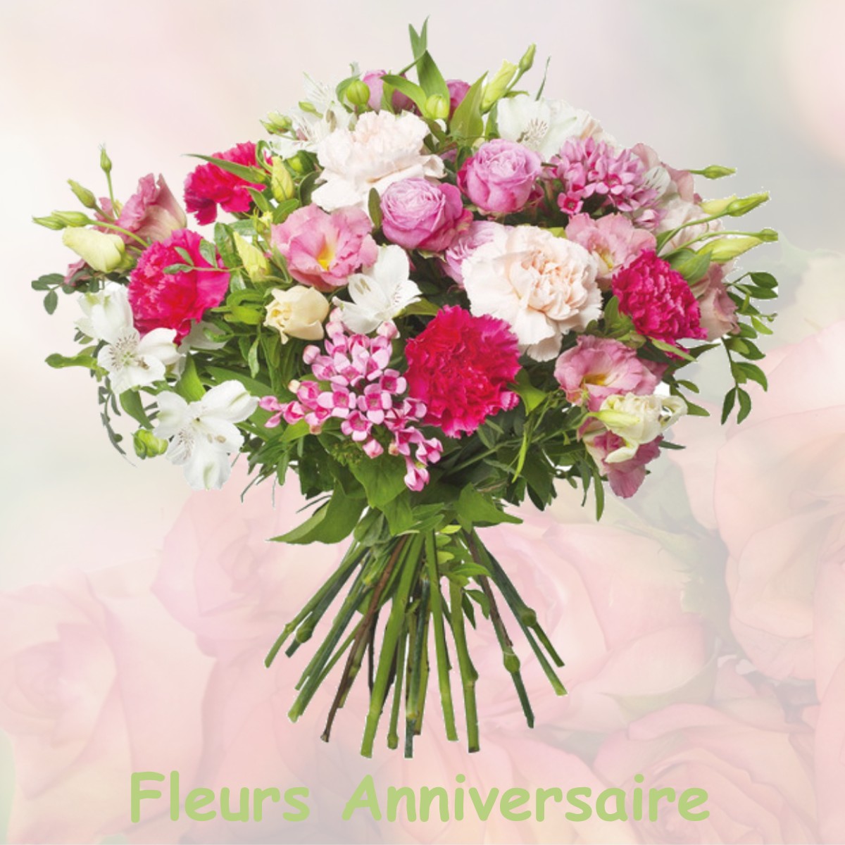 fleurs anniversaire PLENISETTE