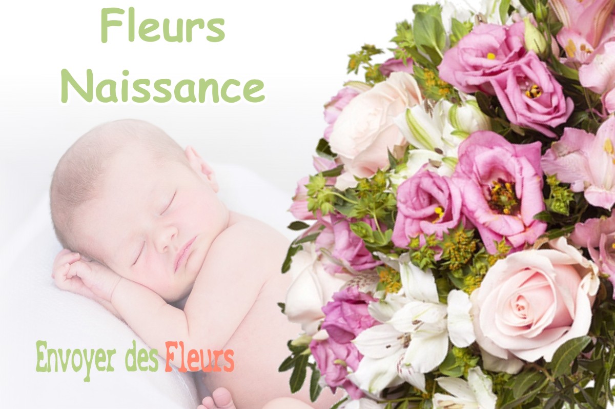 lIVRAISON FLEURS NAISSANCE à PLENISETTE