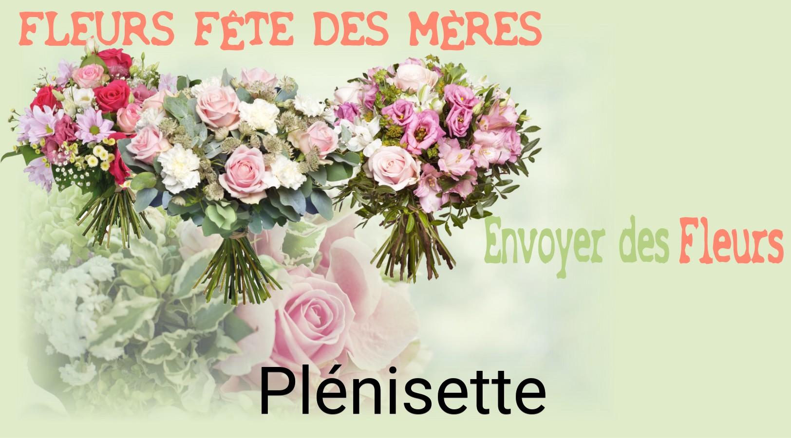 Bouquet de Fête des Mères livré à Plénisette